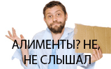 Алименты с неработающего отца