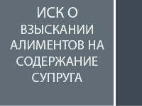 Иск о взыскании алиментов на содержание супруга